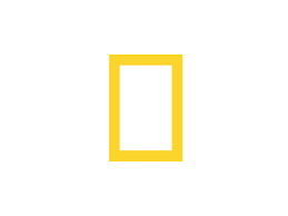 National Geographic Kids Logo